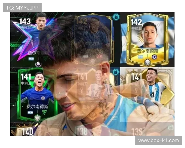 恩佐·费尔南德斯：亿元身价是否合理？关键数据与比赛影响解析