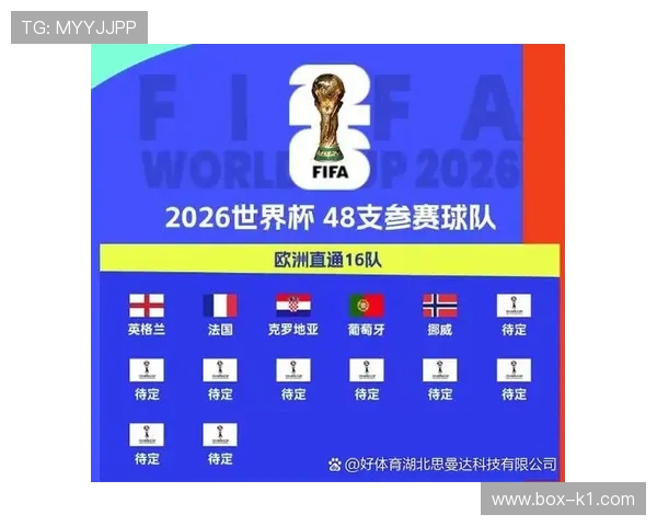 2026世界杯D组最新资讯汇总：排名、赛果与晋级名单已确定
